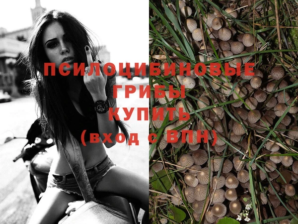 меф Зеленокумск