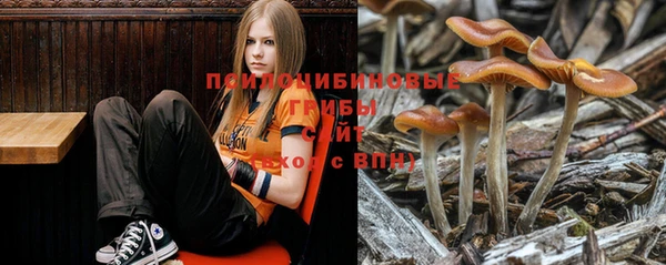 кокаин Заводоуковск